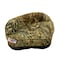 Springfield Marine Springfield Pro Stand-Up Seat - Mossy Oak Duck Blind 1040217 - alternate 1